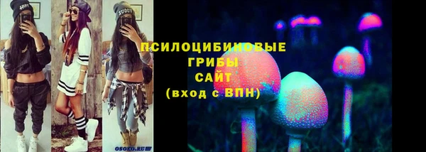 хмурый Алексин
