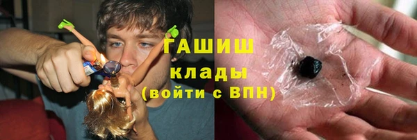 хмурый Алексин