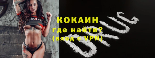 хмурый Алексин