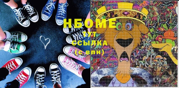 хмурый Алексин