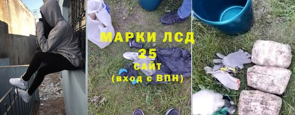 хмурый Алексин