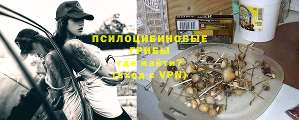 хмурый Алексин