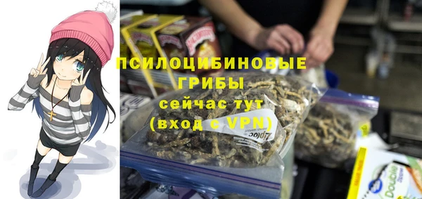 бутират Алзамай