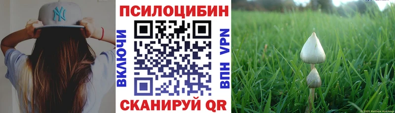 Галлюциногенные грибы MAGIC MUSHROOMS Еманжелинск